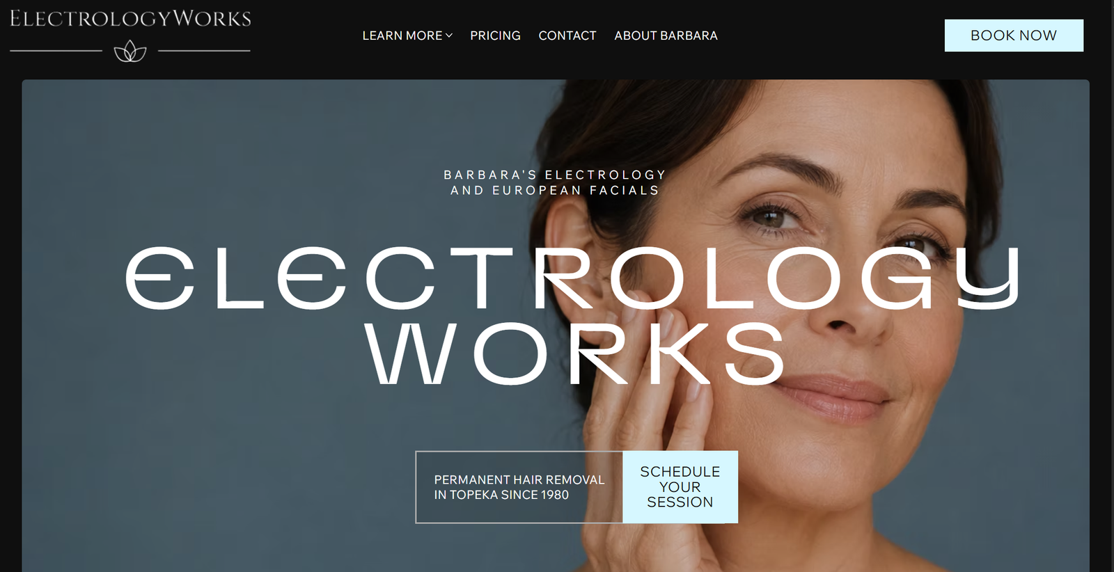 Screenshot of ElectrologyWorks home page.